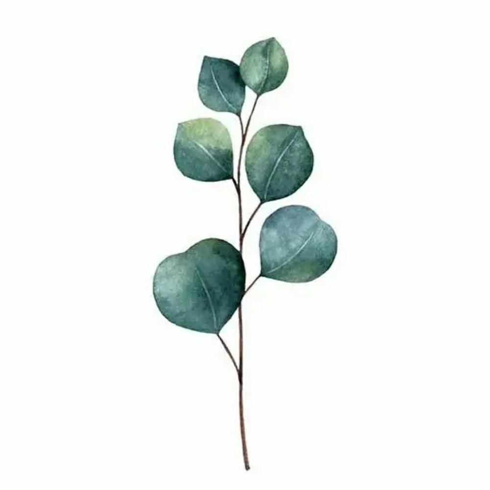 Meet your Posher, Kaydan